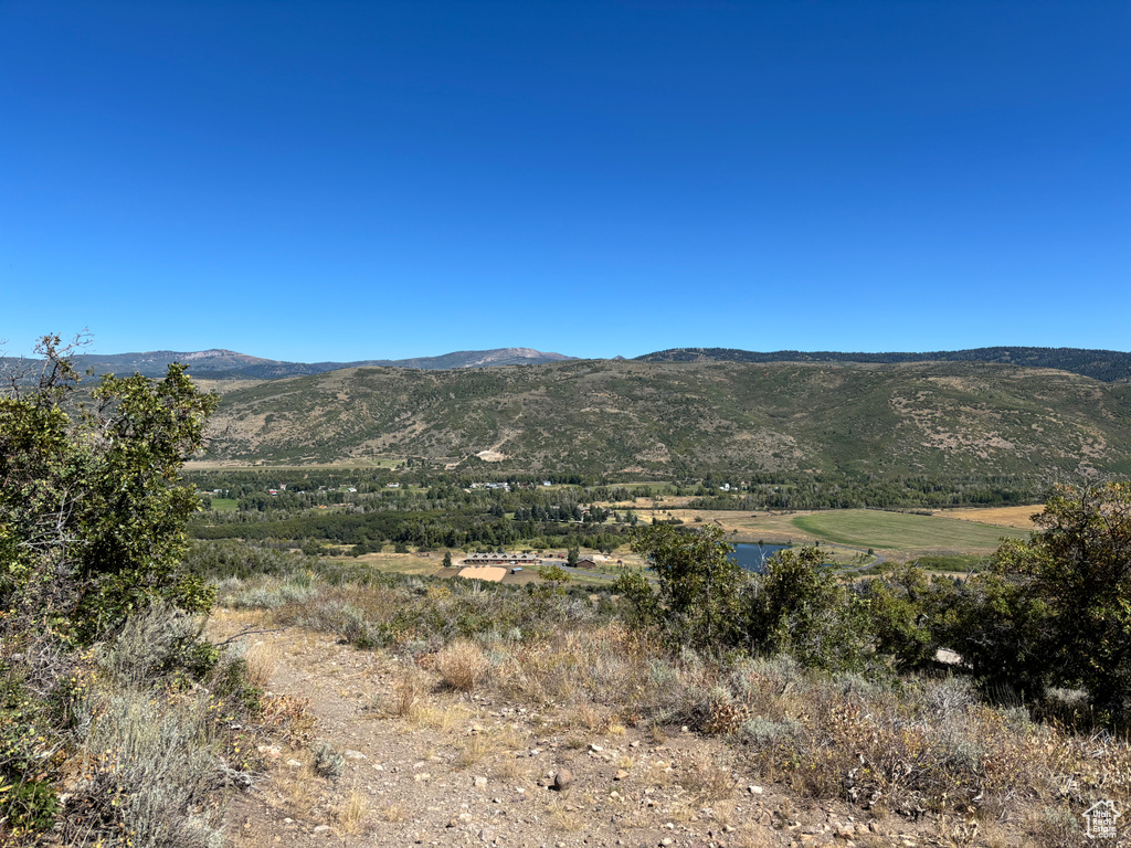 View of mountain background
