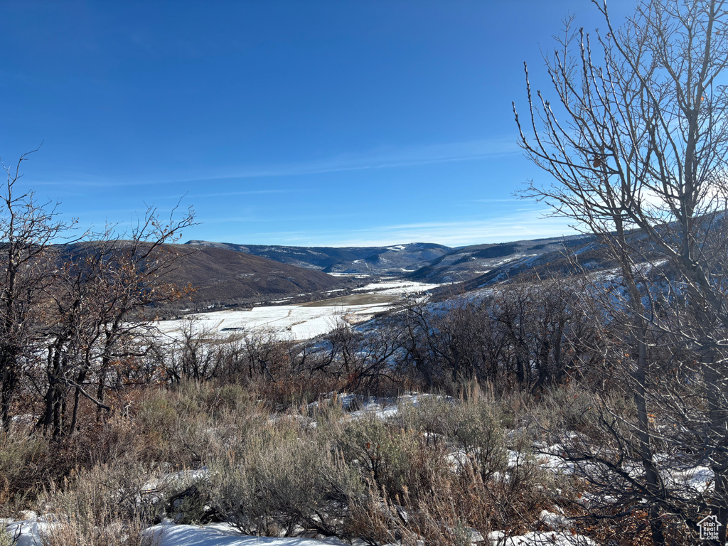 View of mountain backdrop