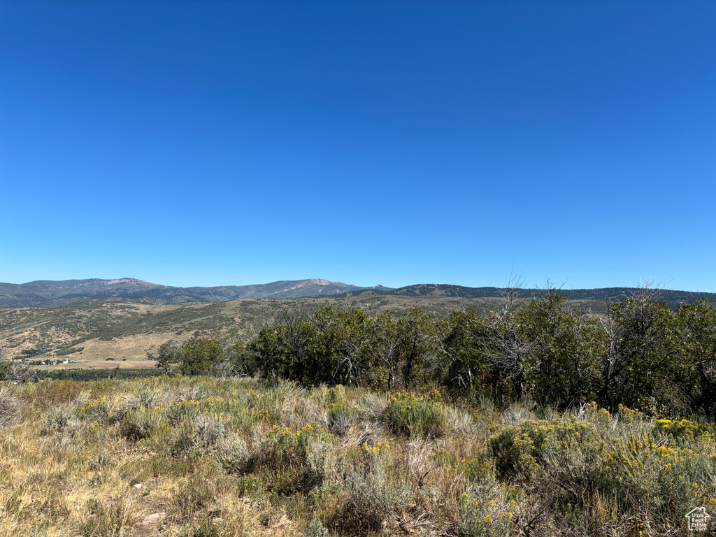 Mountain view