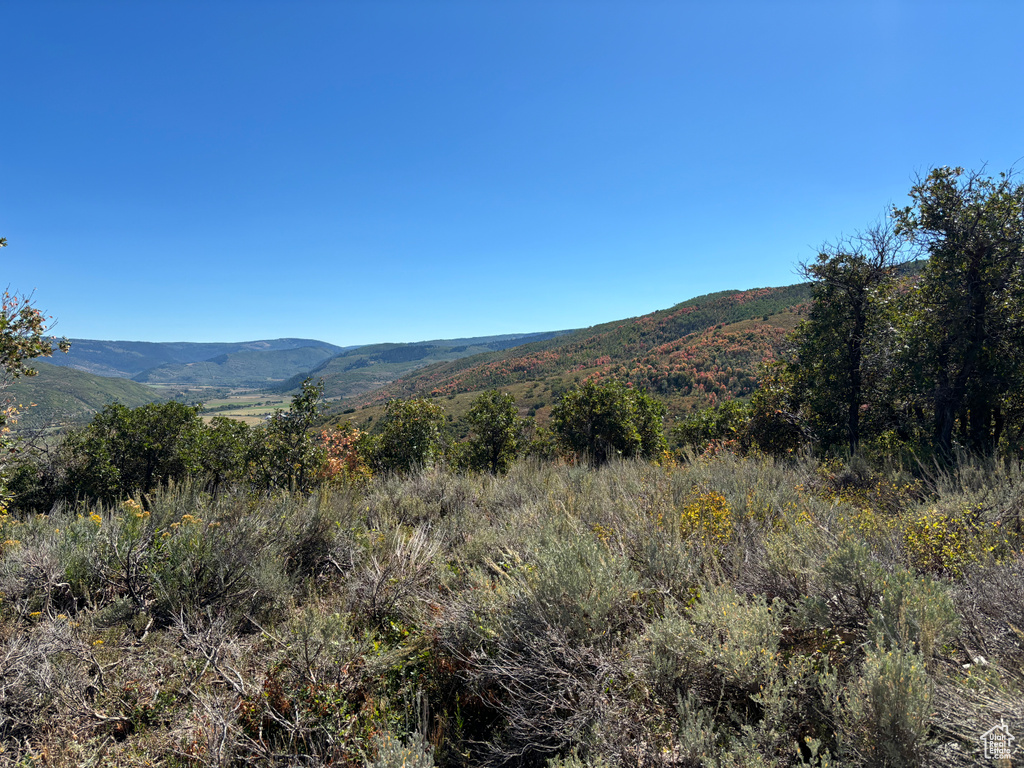 View of mountain backdrop