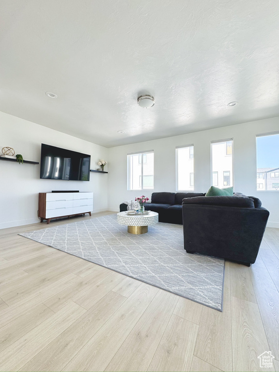 Living room featuring wood finished floors and recessed lighting