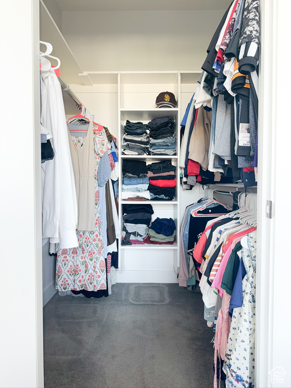 Spacious closet featuring carpet
