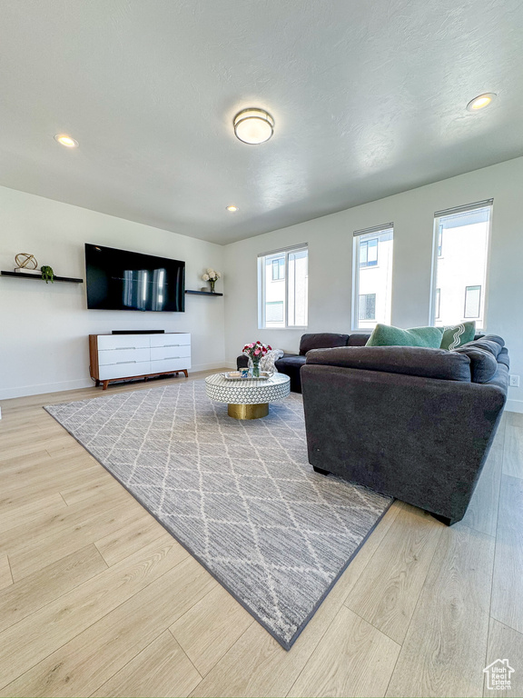 Living room featuring wood finished floors and recessed lighting