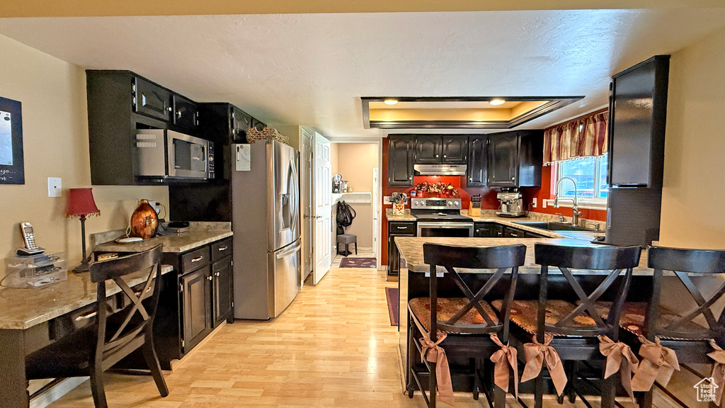 Kitchen with stainless steel appliances, under cabinet range hood, light wood-type flooring, light countertops, and a tray ceiling