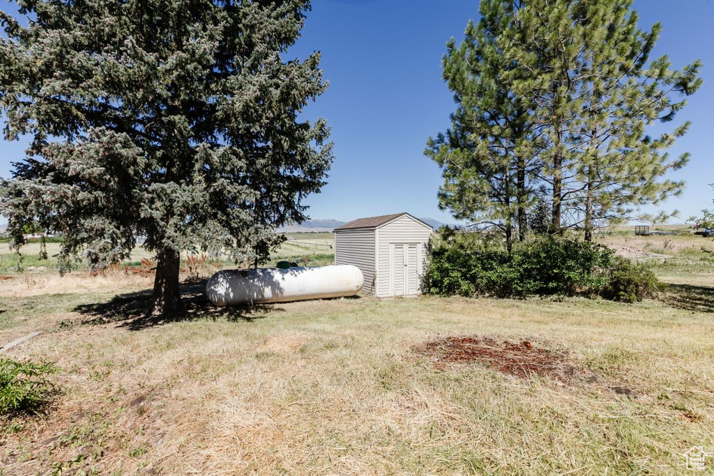 View of yard featuring a shed