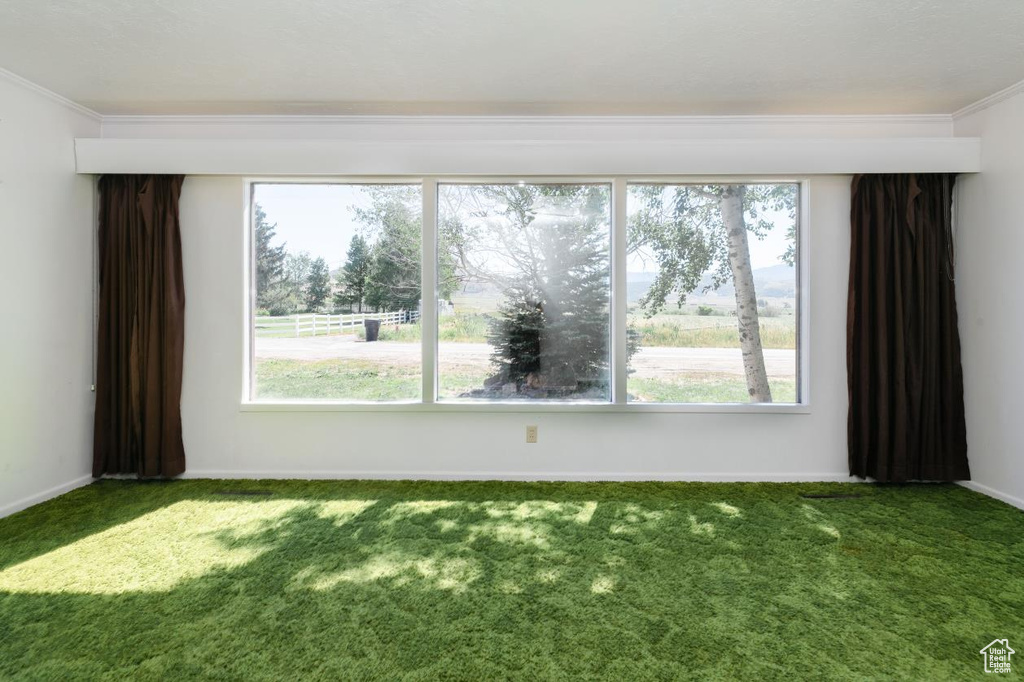 Spare room featuring carpet and crown molding