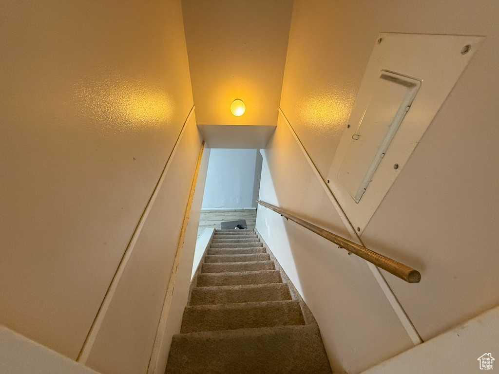 Staircase with carpet flooring