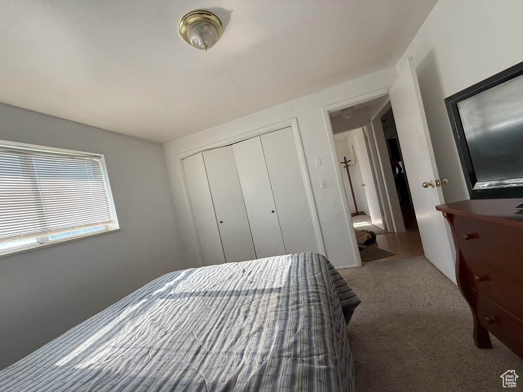 Bedroom with carpet flooring and a closet
