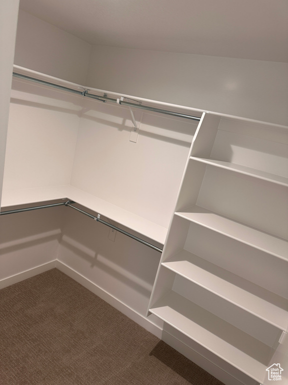 Walk in closet with carpet floors