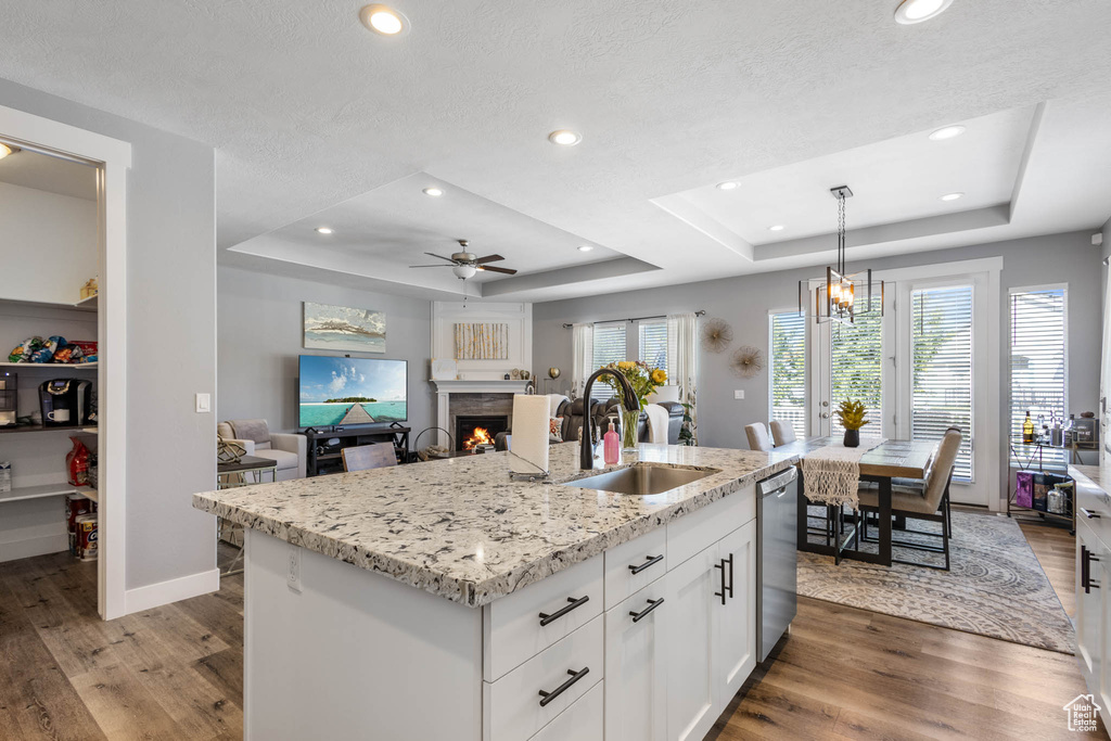 Kitchen with a raised ceiling, stainless steel dishwasher, a ceiling fan, wood finished floors, and a lit fireplace