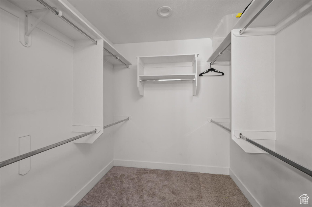 Walk in closet featuring carpet