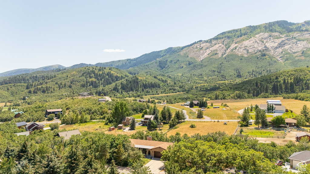 View of mountain backdrop with a forest