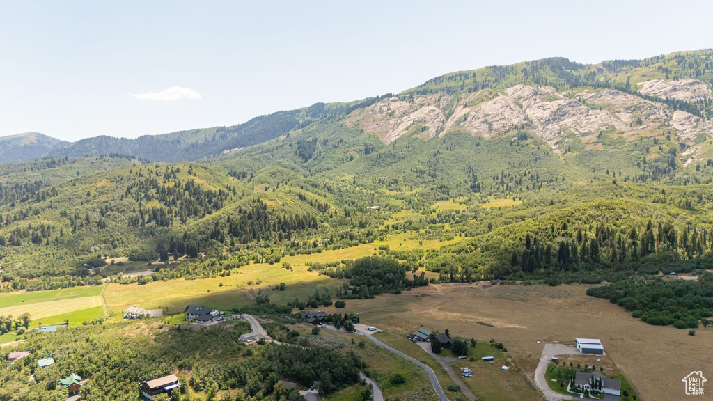 View of mountain background
