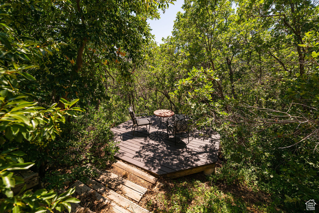 View of wooden deck