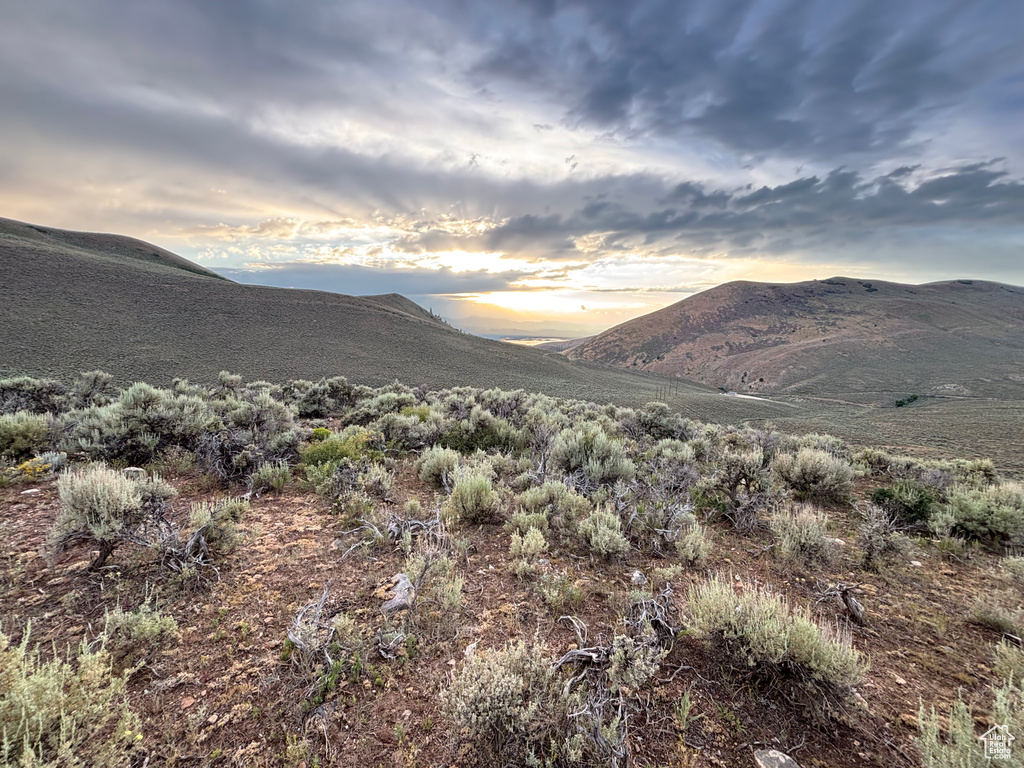 199  INDIAN CREEK RD Saint Charles, ID 83272