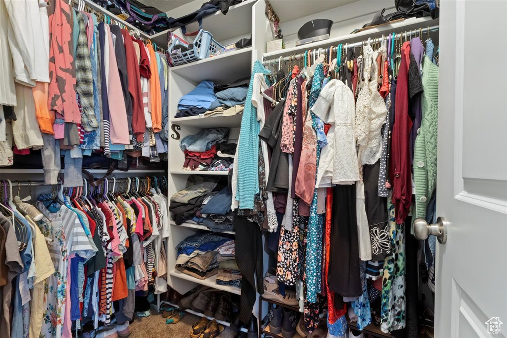 View of walk in closet