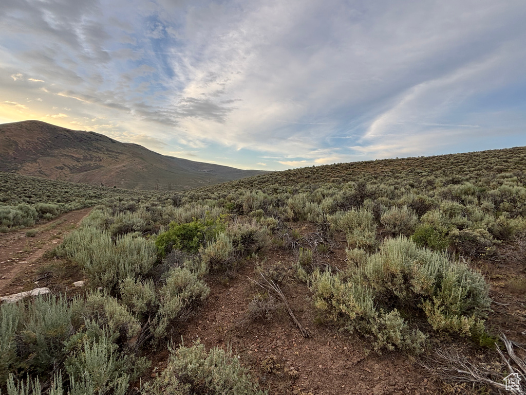 169  INDIAN CREEK RD Saint Charles, ID 83272