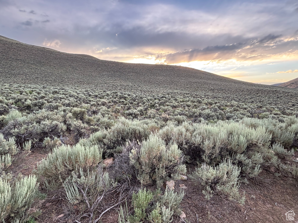 169  INDIAN CREEK RD Saint Charles, ID 83272
