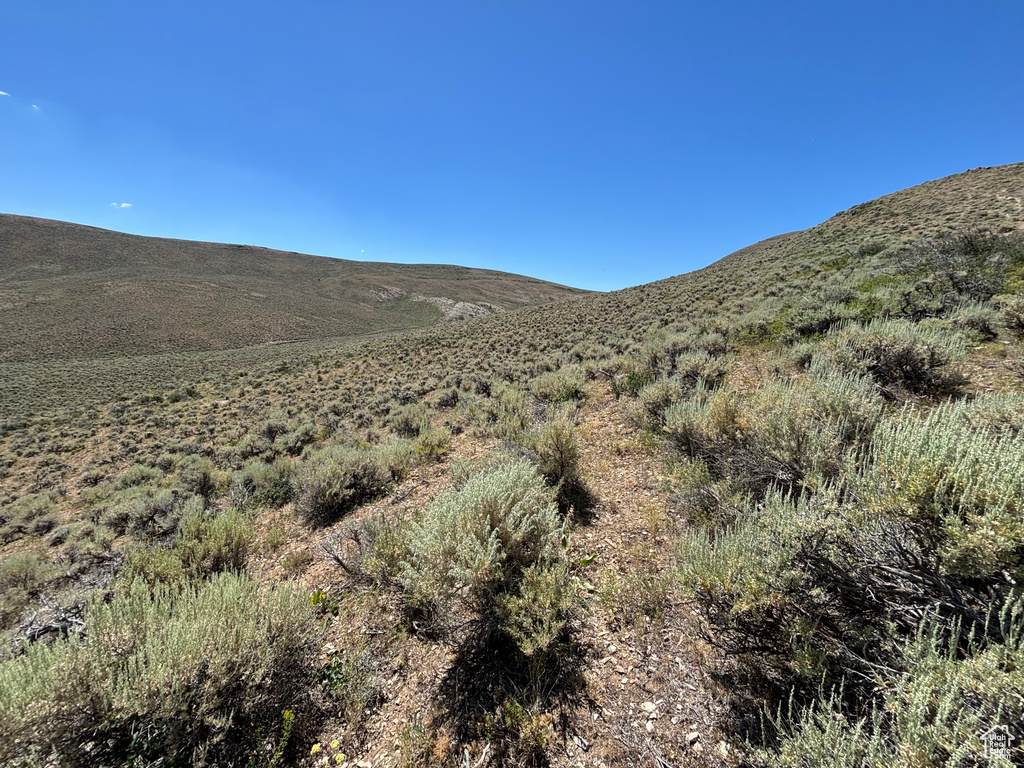 169  INDIAN CREEK RD Saint Charles, ID 83272