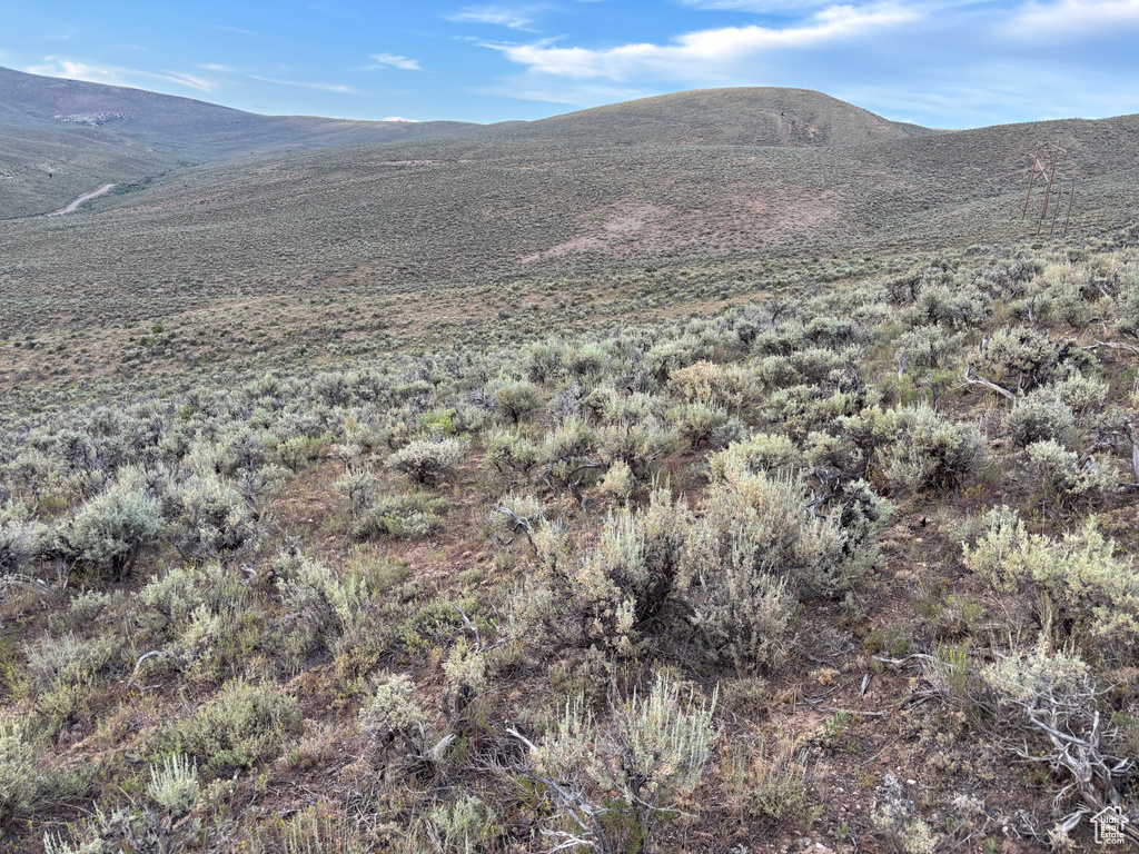 169  INDIAN CREEK RD Saint Charles, ID 83272