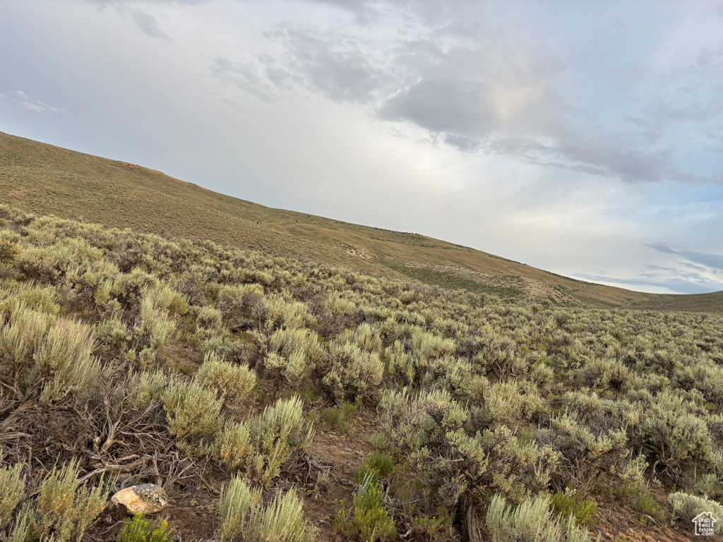 169  INDIAN CREEK RD Saint Charles, ID 83272