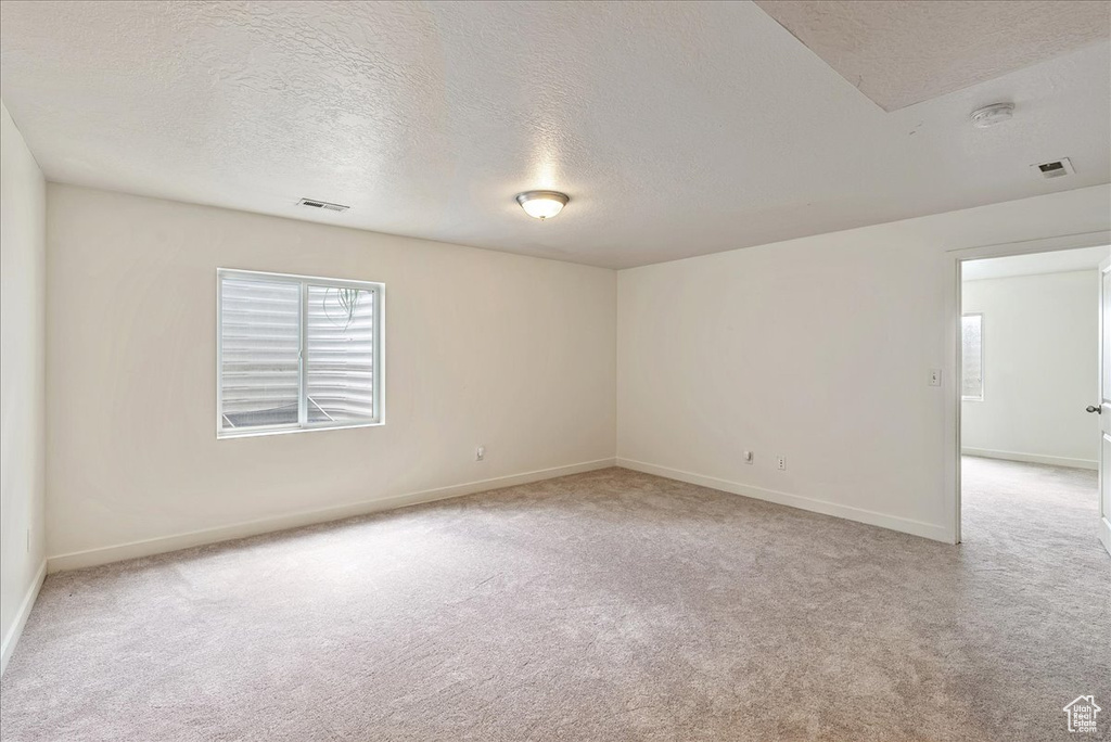 Empty room with light colored carpet, a textured ceiling, plenty of natural light, and a smoke detector