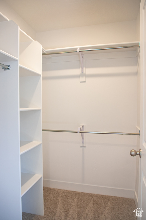 Walk in closet featuring carpet
