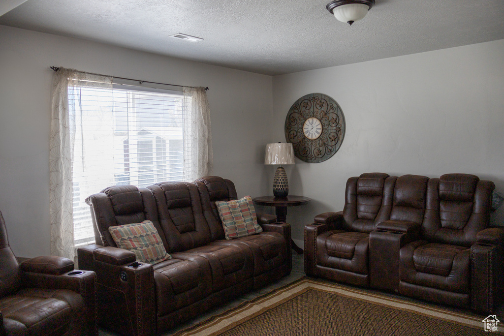 Living room with a textured ceiling