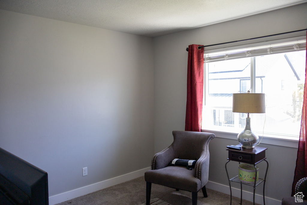 Living area with carpet