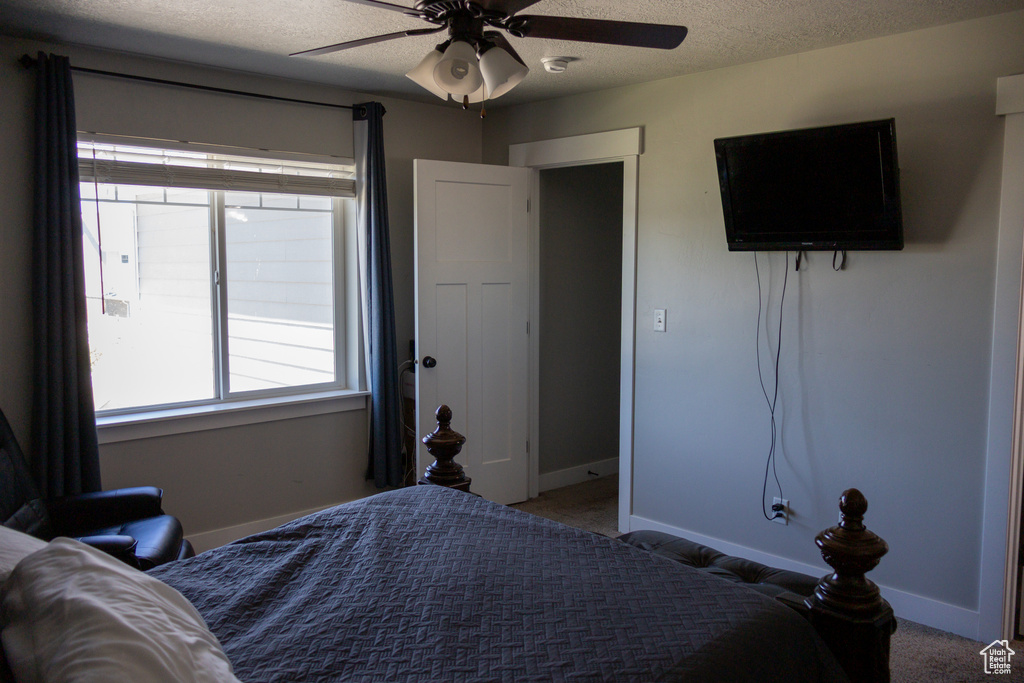 Carpeted bedroom with multiple windows, a textured ceiling, and ceiling fan