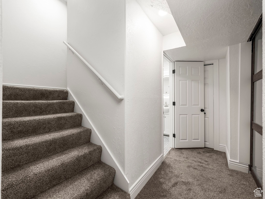 Stairs with carpet and a textured ceiling