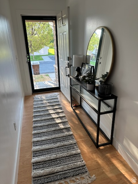 Doorway featuring healthy amount of natural light and wood finished floors