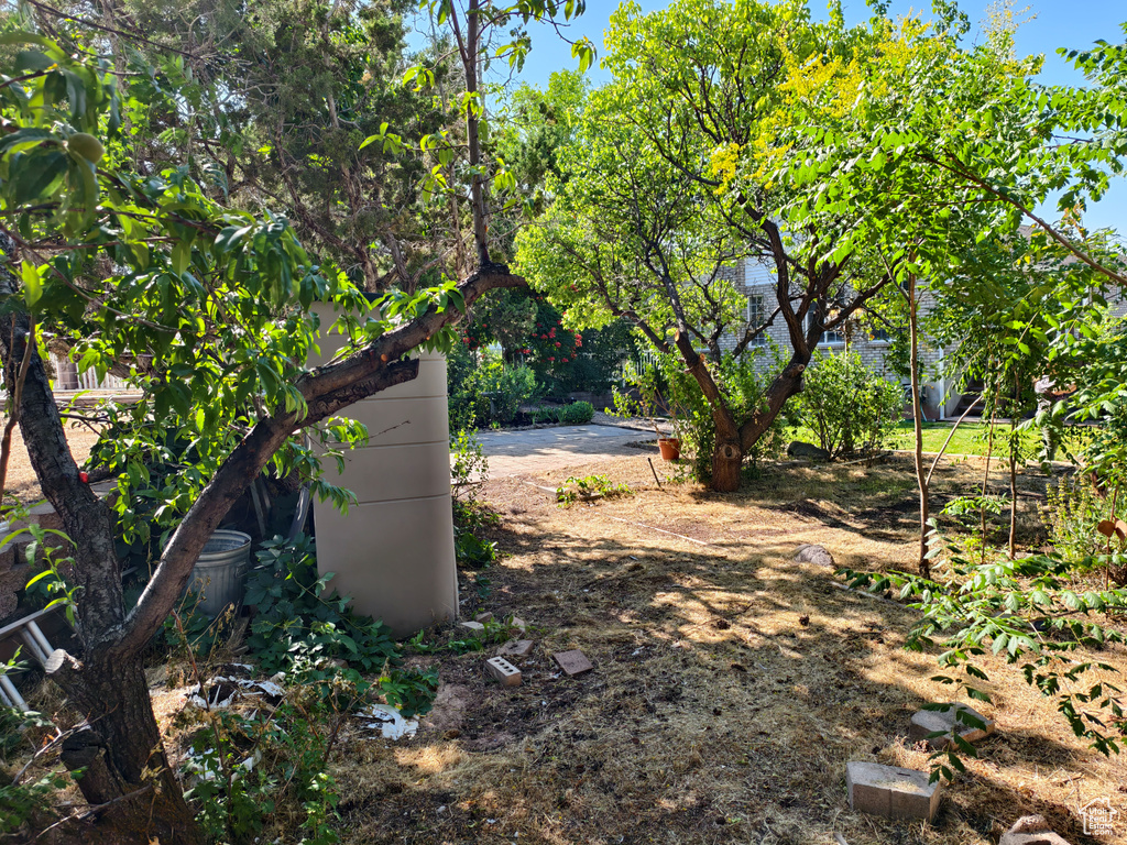 411 S RIDGE RD Cedar City, UT 84720