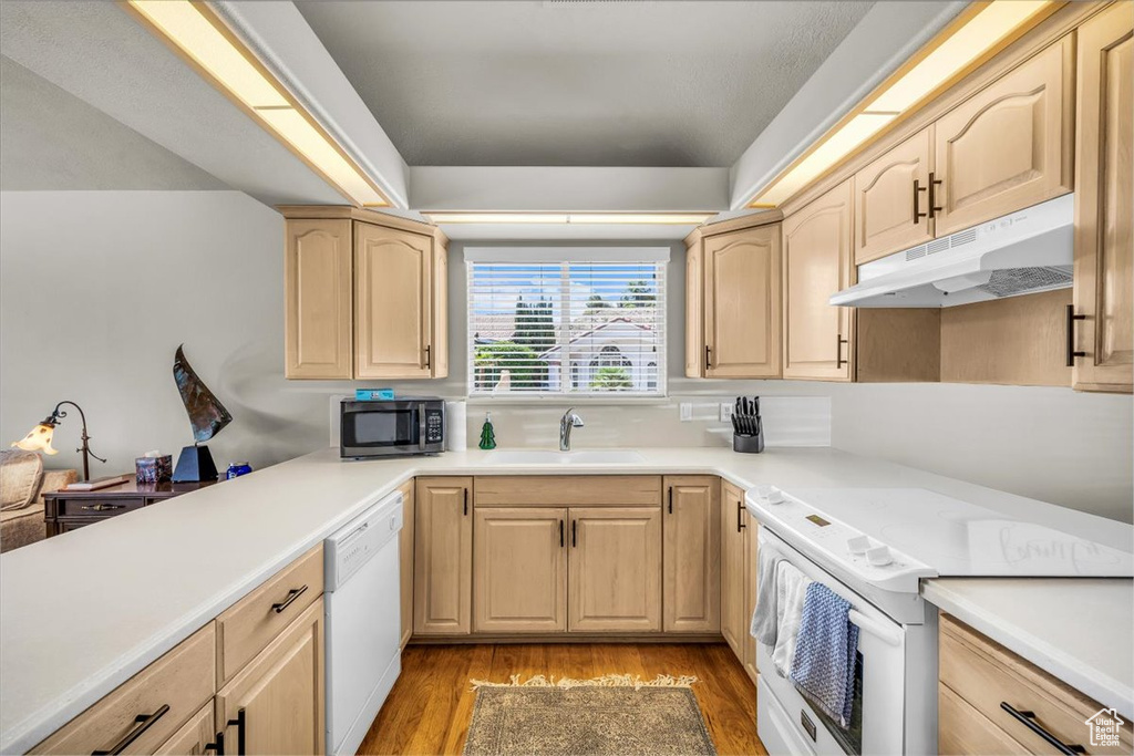 Kitchen featuring white appliances, light brown cabinetry, under cabinet range hood, light wood-type flooring, and light countertops