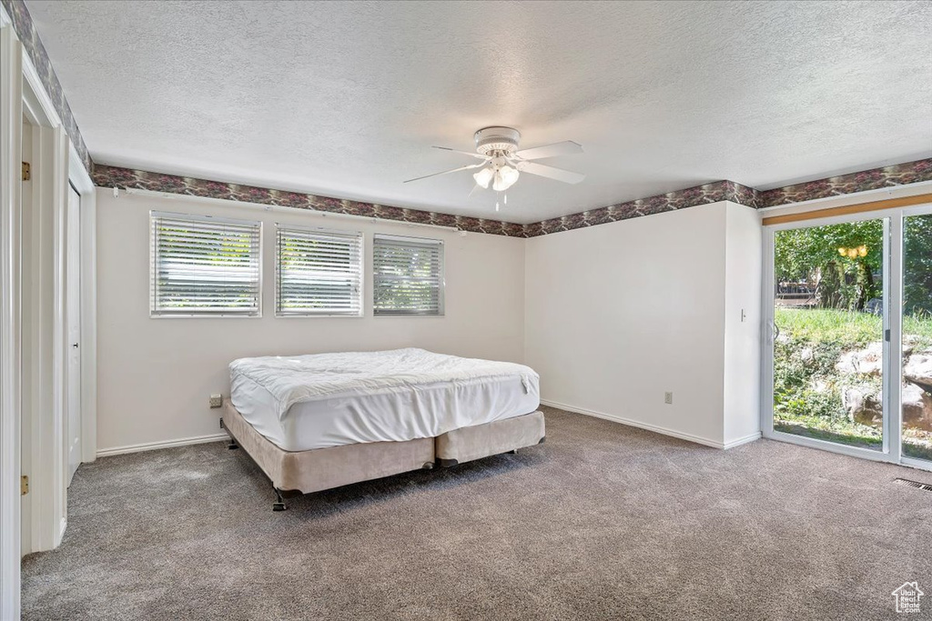 Bedroom with access to outside, a textured ceiling, multiple windows, and carpet
