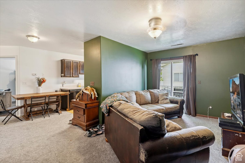 Living area with light carpet