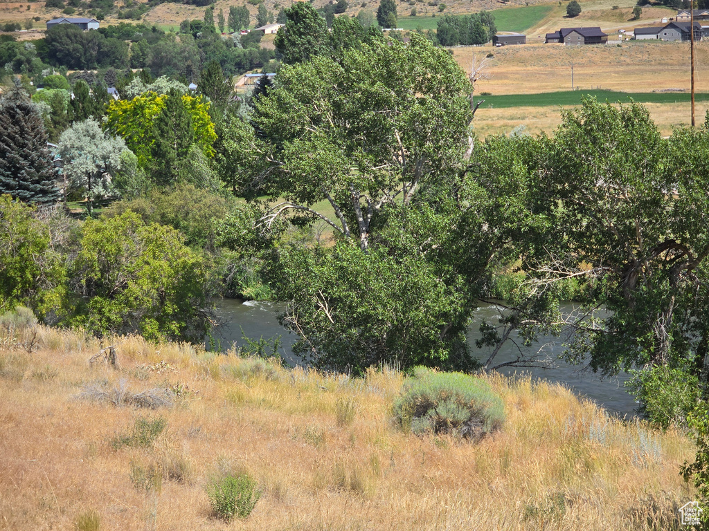 View of undeveloped land