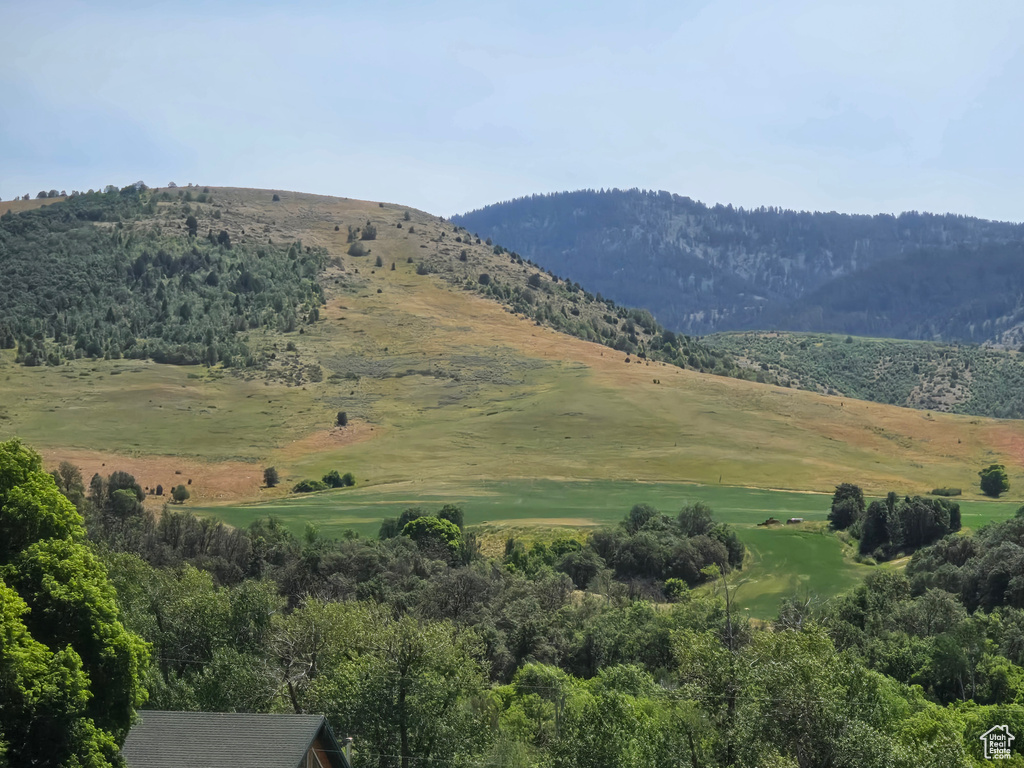 Mountain view