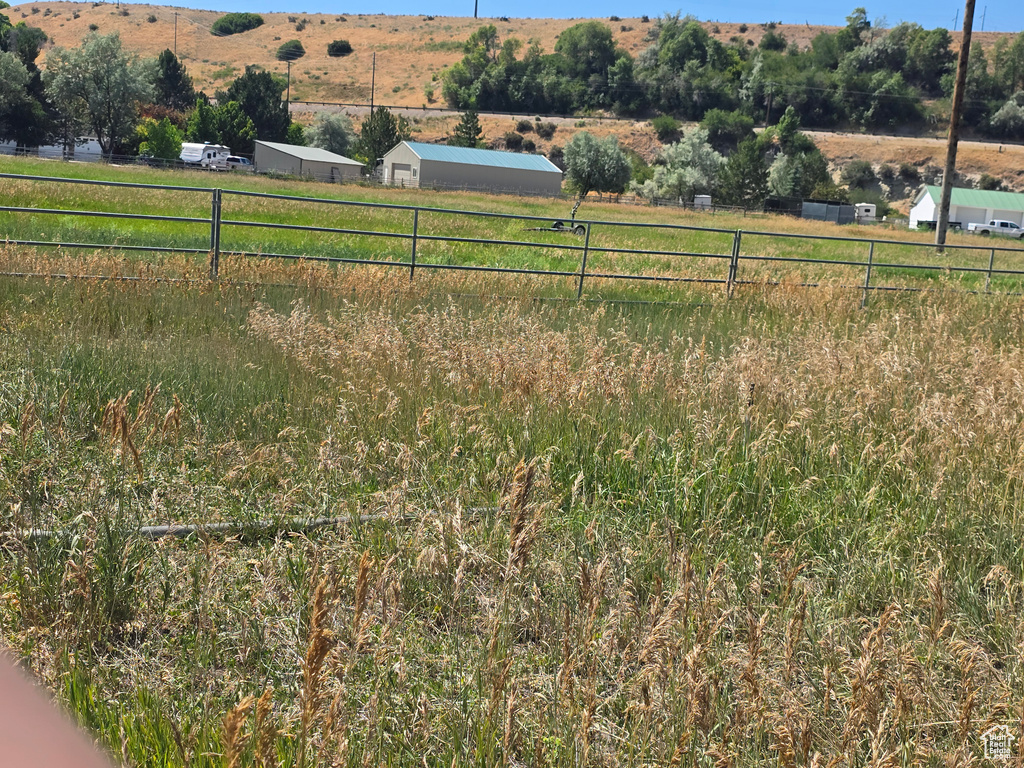 View of yard featuring a view of rural / pastoral area