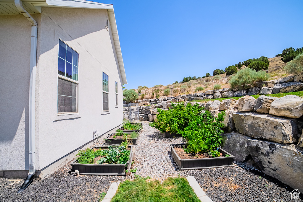 View of yard with a vegetable garden