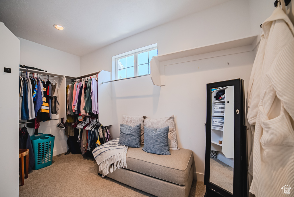 Spacious closet with carpet floors