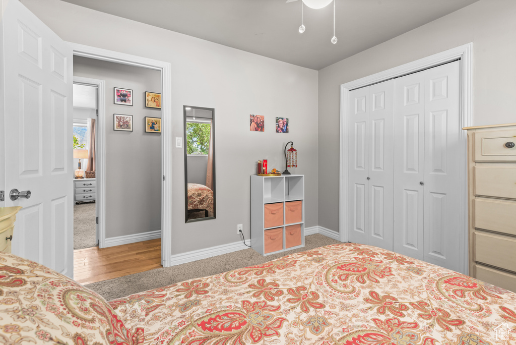 Carpeted bedroom with multiple windows, a closet, ceiling fan, and wood finished floors