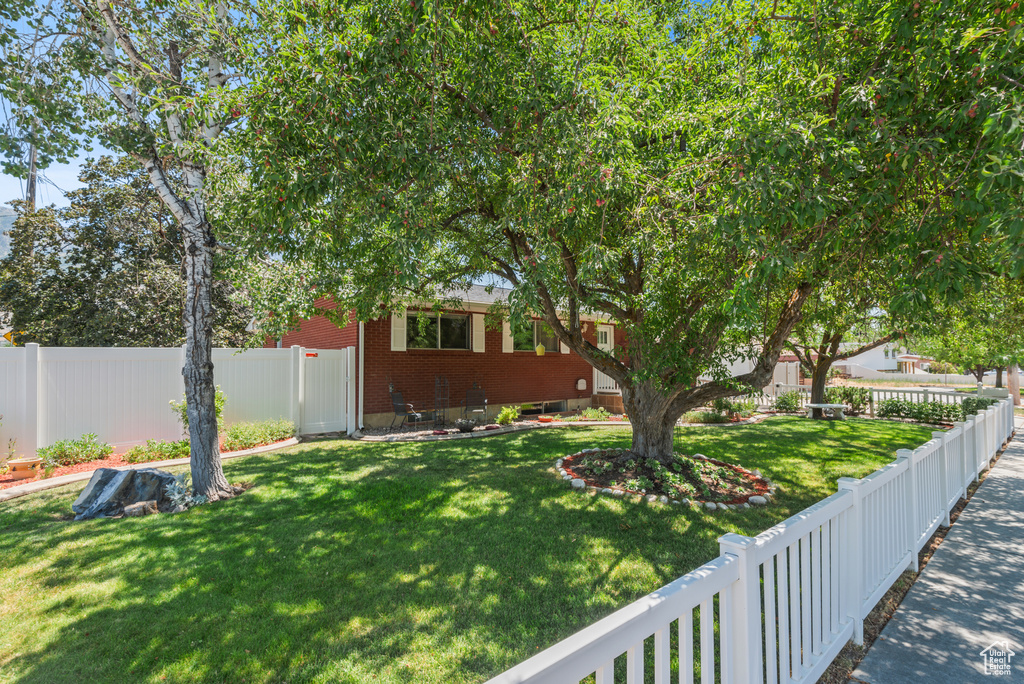 View of fenced backyard