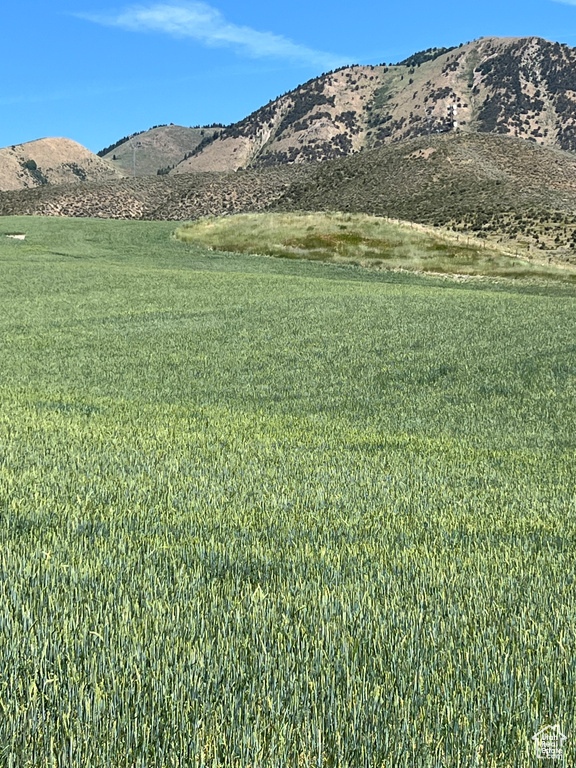 View of mountain background