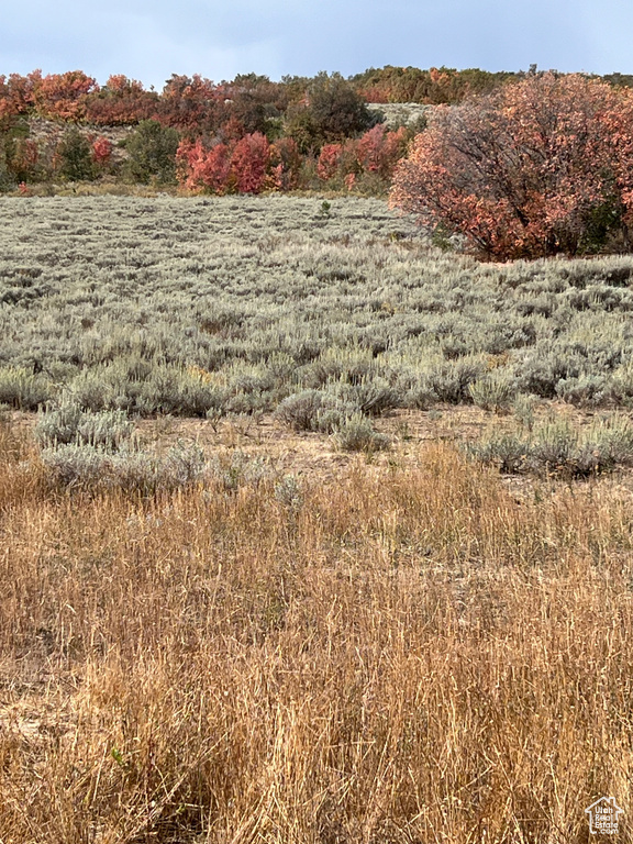 View of undeveloped land featuring rural landscape