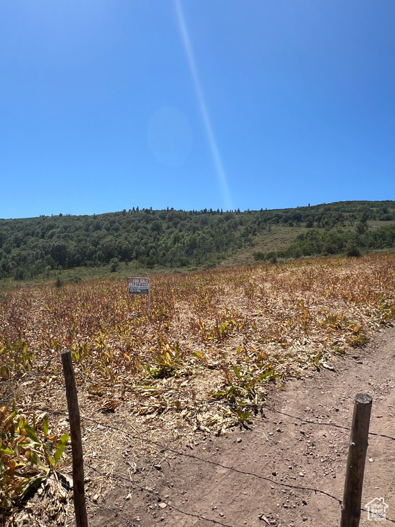 View of undeveloped land featuring rural landscape