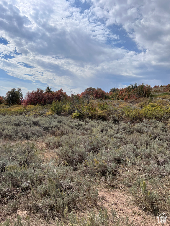 View of nature