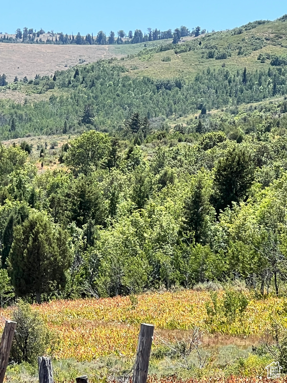 Mountain view