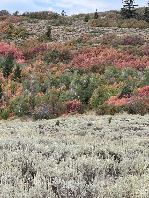 View of nature