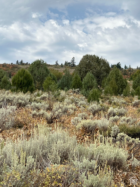 View of undeveloped land